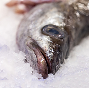 Wild, Irish, Whole White Pollock